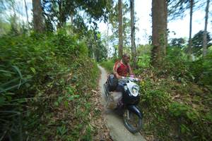 BIB: 
                            <button type="button" onclick="openModal(21744922)" class="btn btn-primary btn-sm float-right btn-popup" data-toggle="modal" data-target=".modal-high-quality">
                        <i class="fas fa-shopping-cart"></i> Add to Cart
                    </button>
                                            <button type="button" onclick="isThisMe(21744922, true)" class="btn btn-success btn-sm float-right btn-popup btn-isme hidden" data-toggle="tooltip" data-placement="bottom" title="นี่คือรูปของคุณใช่ไหม คลิกที่นี่เพื่อเอาเข้าอัลบั้ม">
                        <i class="fas fa-plus"></i> Add to album
                    </button>
                    <button type="button" onclick="isThisMe(21744922, false)" class="btn btn-warning btn-sm float-right btn-popup btn-isnotme hidden">
                        <i class="fas fa-ban"></i> Remove from album
                    </button>